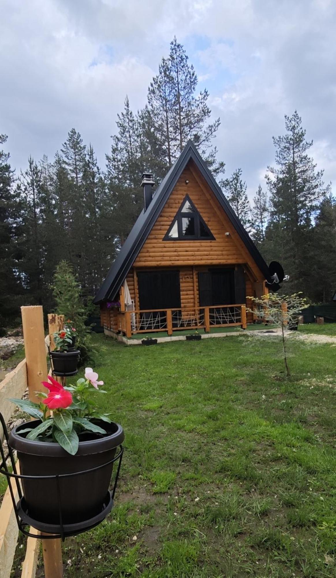 Pine Forest-White Žabljak Eksteriør billede